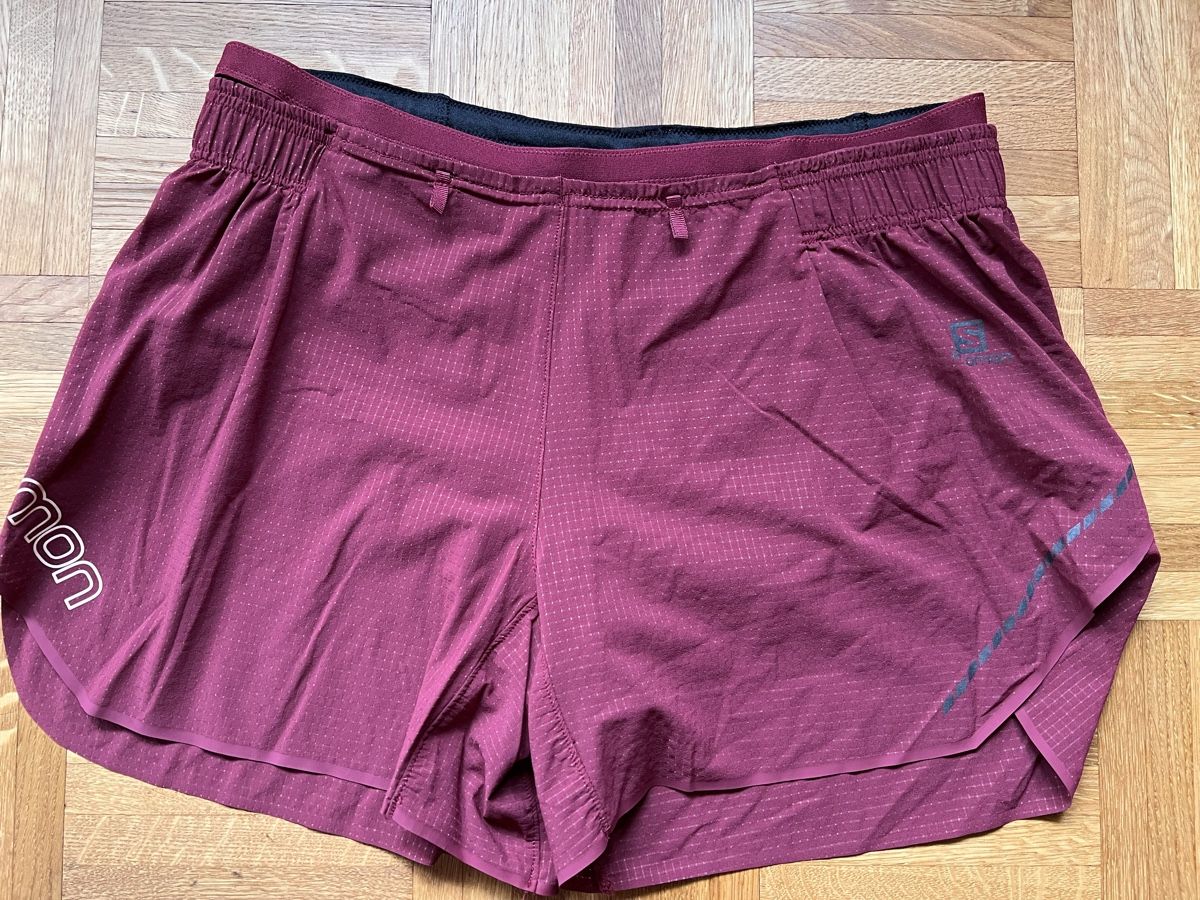 Salomon Pantaloni: Salomon Shorts (Neu) – Nuovo (secondo la descrizione) da Grindelwald venduto da Bianchi21