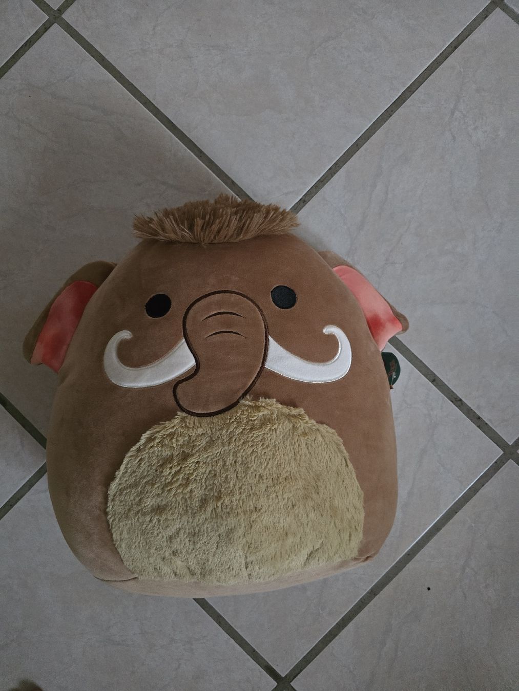 Squishmallows Giocattoli: Squishmallow Chienda Mammut – Nuovo (secondo la descrizione) da Büsserach venduto da sobis.trade