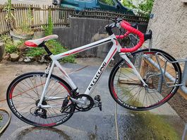 Rennrad 28" KS Cycling - Fahrrad