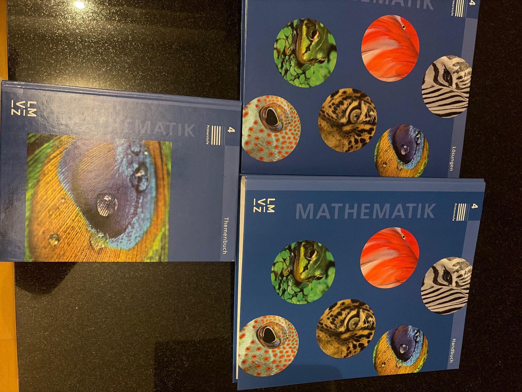 Bücher: Mathe Primarstufe Buch 4 Lehrmittel LMVZ – Gebraucht aus Küsnacht ZH von vbo_qsq5