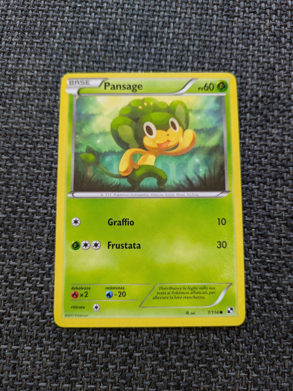 Pokémon Carte collezionabili: PANSAGE, BLACK & WHITE, BLW7, COM, 2011, ITA, GD – Usato da Losone venduto da AlpineLayer