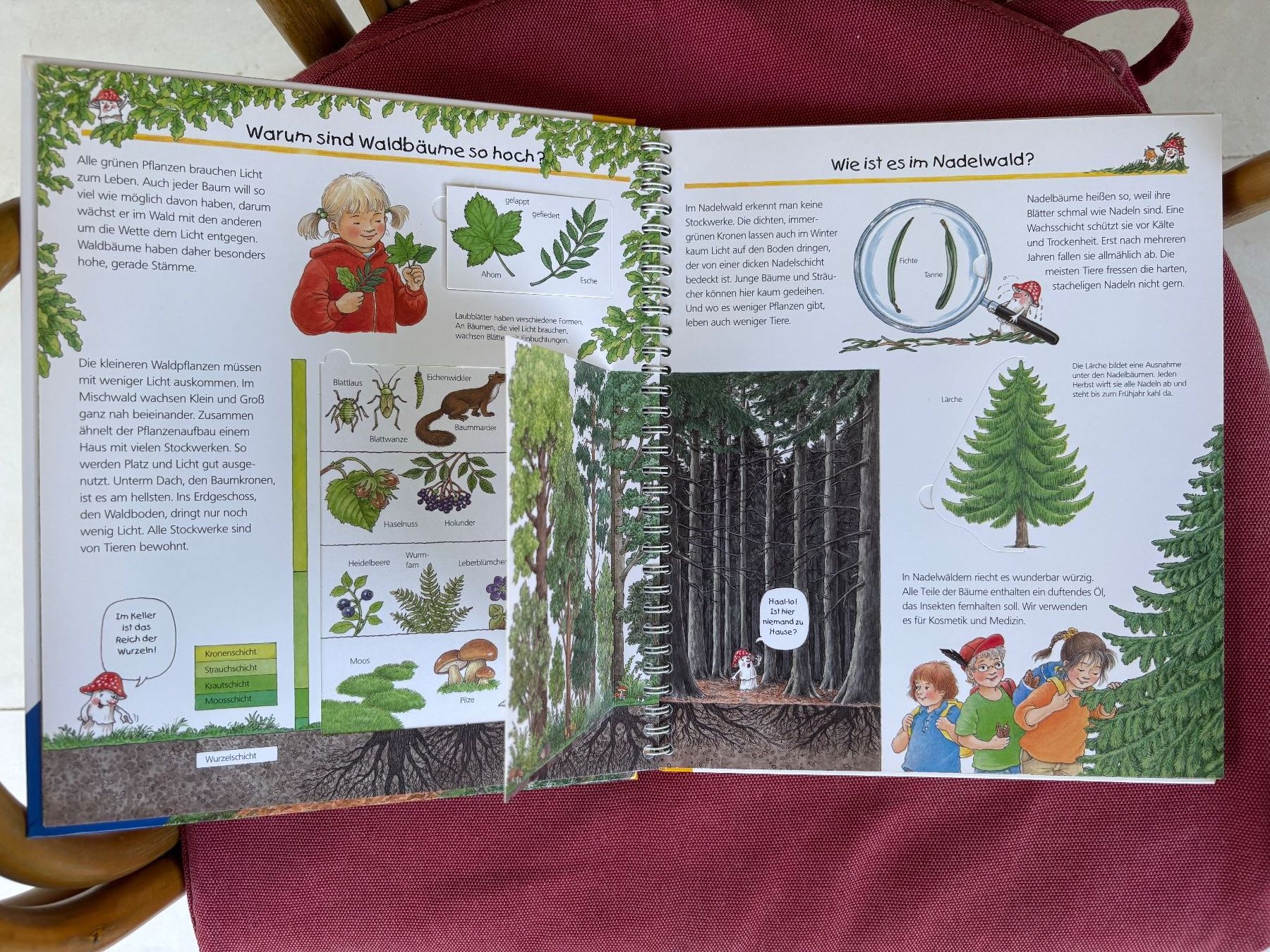 Libri: Wir entdecken den Wald - Wieso? Weshalb? Warum? – Usato da Genève venduto da god_nr55 1