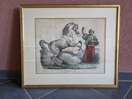 Stich coloriert - 66 x 56 cm - Carl Vernel - Le Derviche
