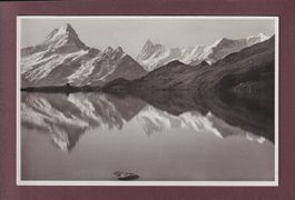 BACHALPSEE - Schreckhorn