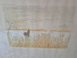 Bild Pferdeherde