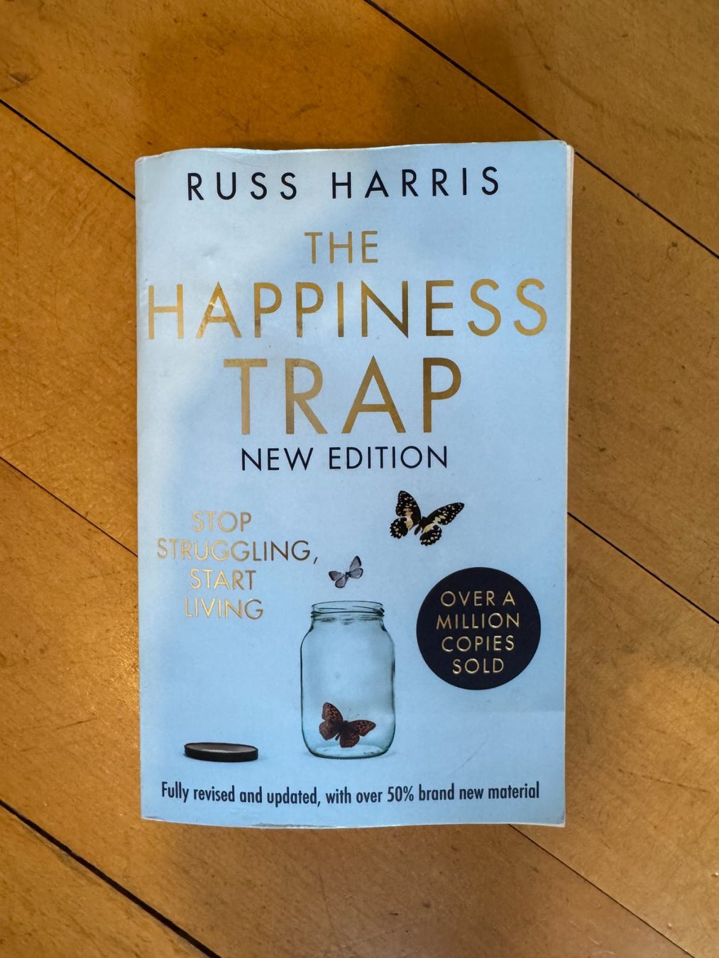 Libri: Buch The Happiness Trap – Usato da Zollikon venduto da lui_gqg9
