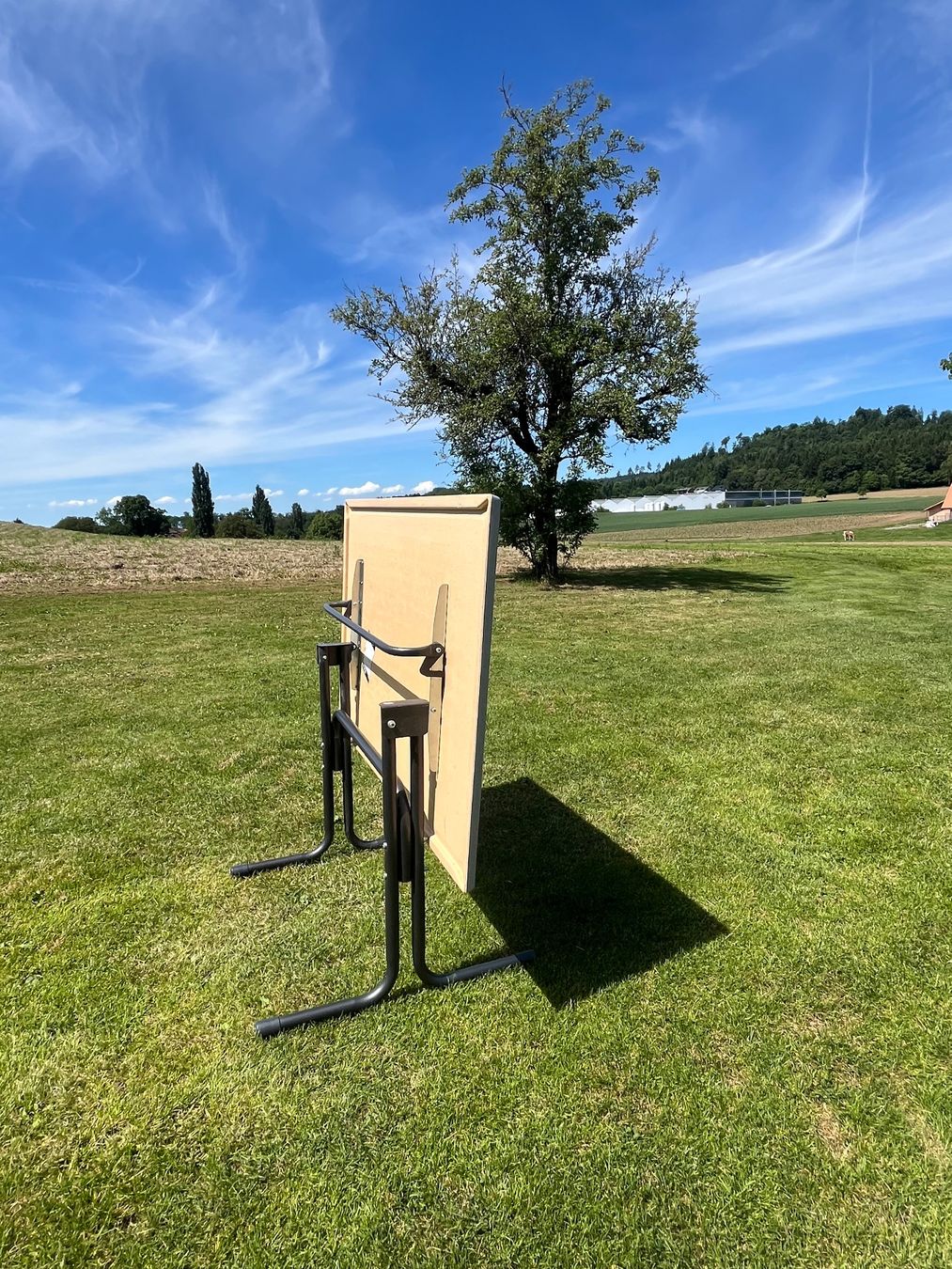 Tavoli: Gartentisch Klappbar – Usato da Allmendingen b. BE venduto da juair 1