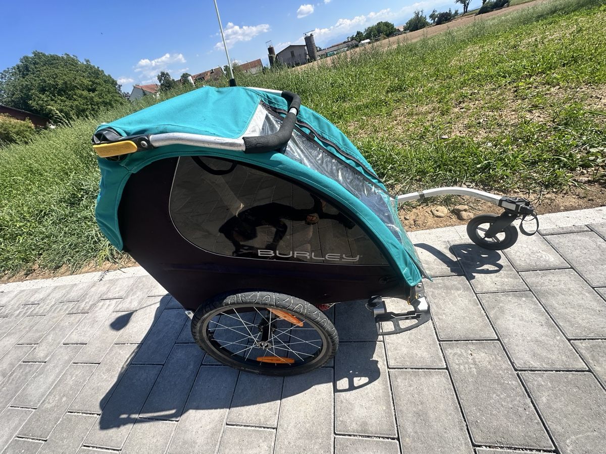Burley Rimorchi: Burley Encore X Kinder Veloanhänger – Usato da Russikon venduto da sabi020 1