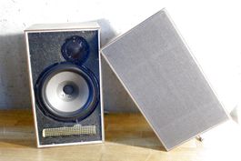 2/3. Serie Scan-Dyna / Dynaco A25 mit den SEAS - Chassis