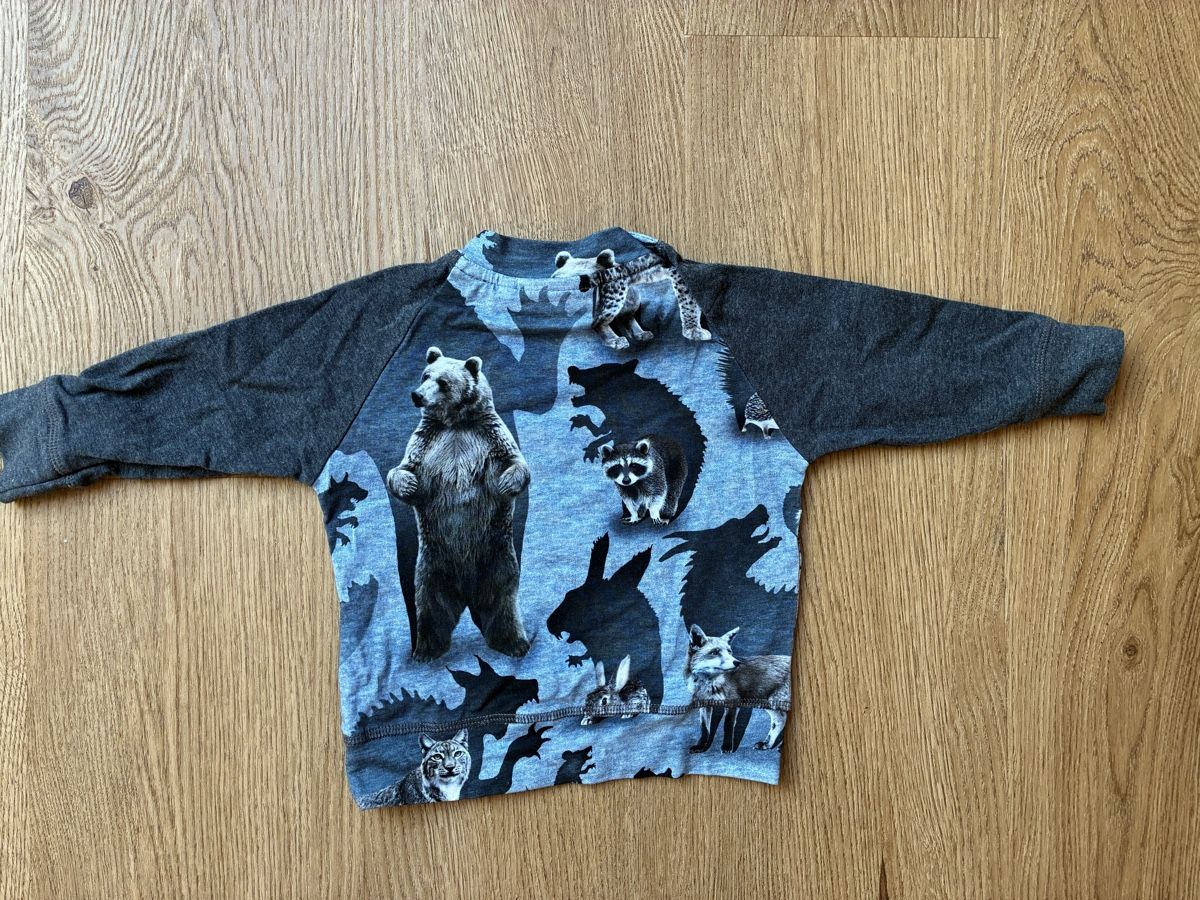 Molo Camicie, Top & T-shirt: Molo Langarmshirt Grösse 68 – Nuovo (secondo la descrizione) da Witterswil venduto da Livee 1