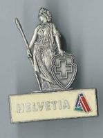 Helvetia Versicherung, Pin