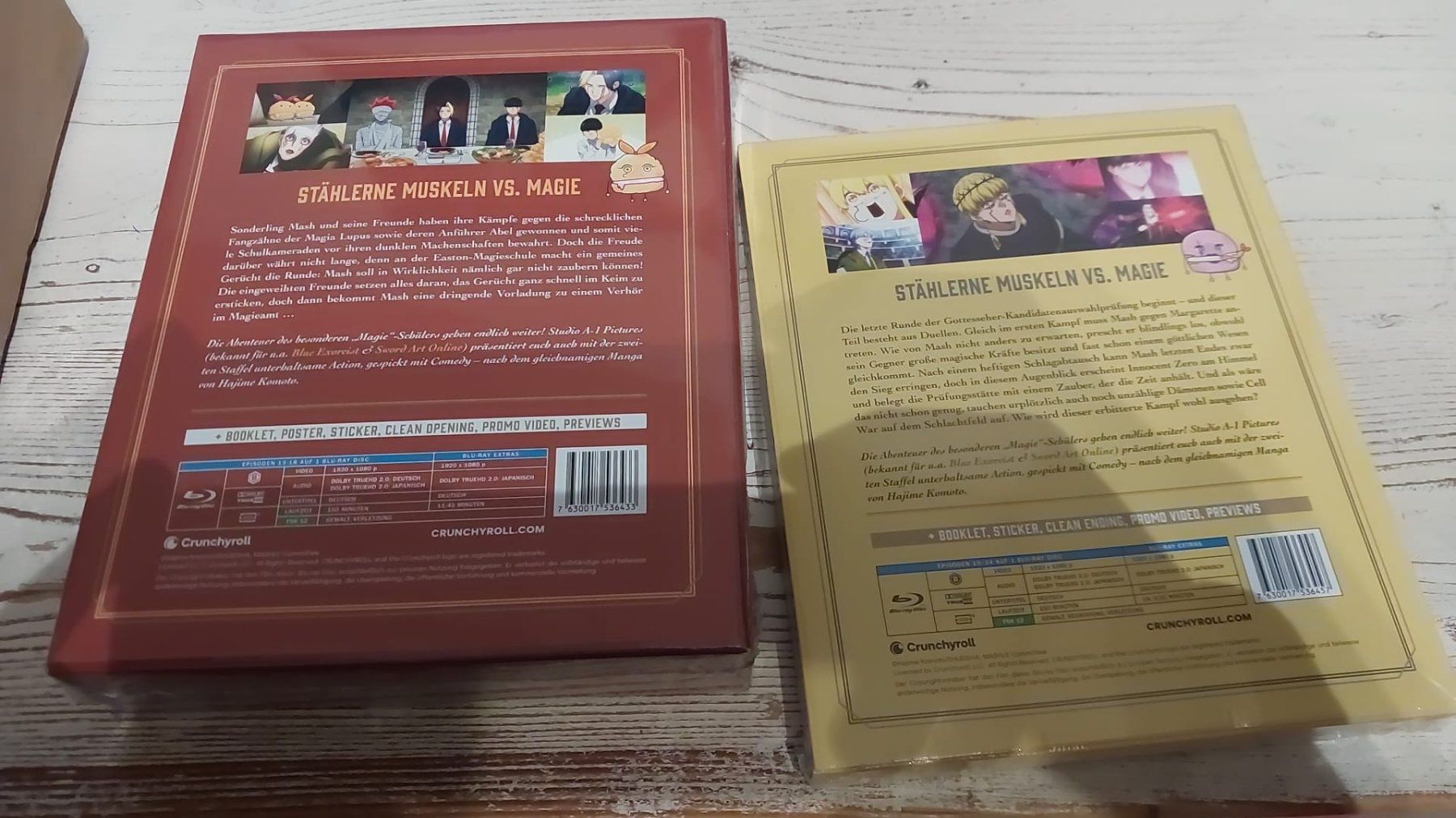 Alle DVDs: Anime Mashle Staffel 2 neu – Neu und originalverpackt aus Henggart von Jan073 1
