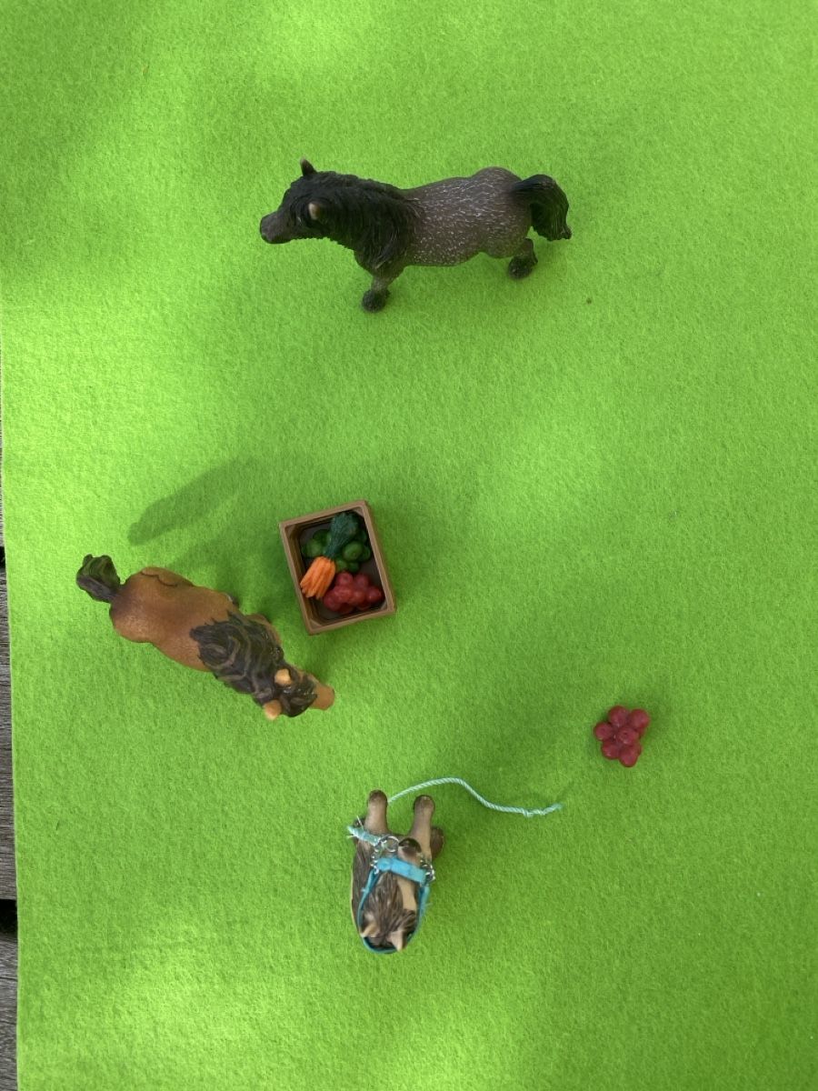 Schleich Giocattoli: Schleichponnys mit Zubehör – Nuovo (secondo la descrizione) da Wädenswil venduto da nomis05