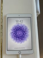 iPad mini 3 (16 GB)