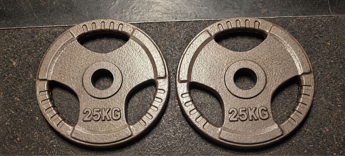 Manubri & Pesi: 2x 25 kg Hantelscheiben – Usato da Buch am Irchel venduto da Sweetharth