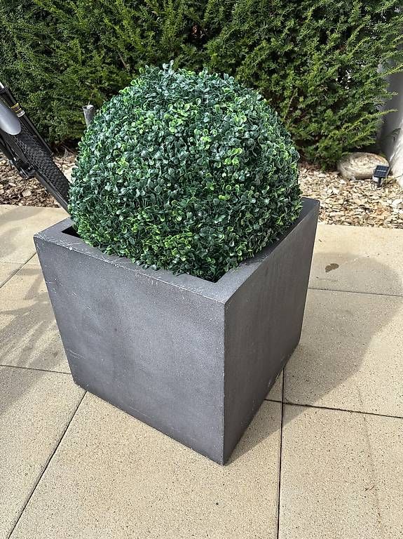 Vasi per fiori: 2 Pflanzkübel inkl. Buchsbaumkugel (Künstlich) – Usato da Niederglatt ZH venduto da arminmusa11 4