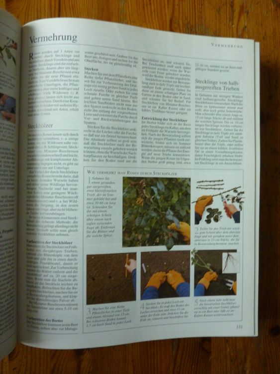 Sachbuch Dumont's grosse GartenEnzyklopädie Kaufen auf Ricardo