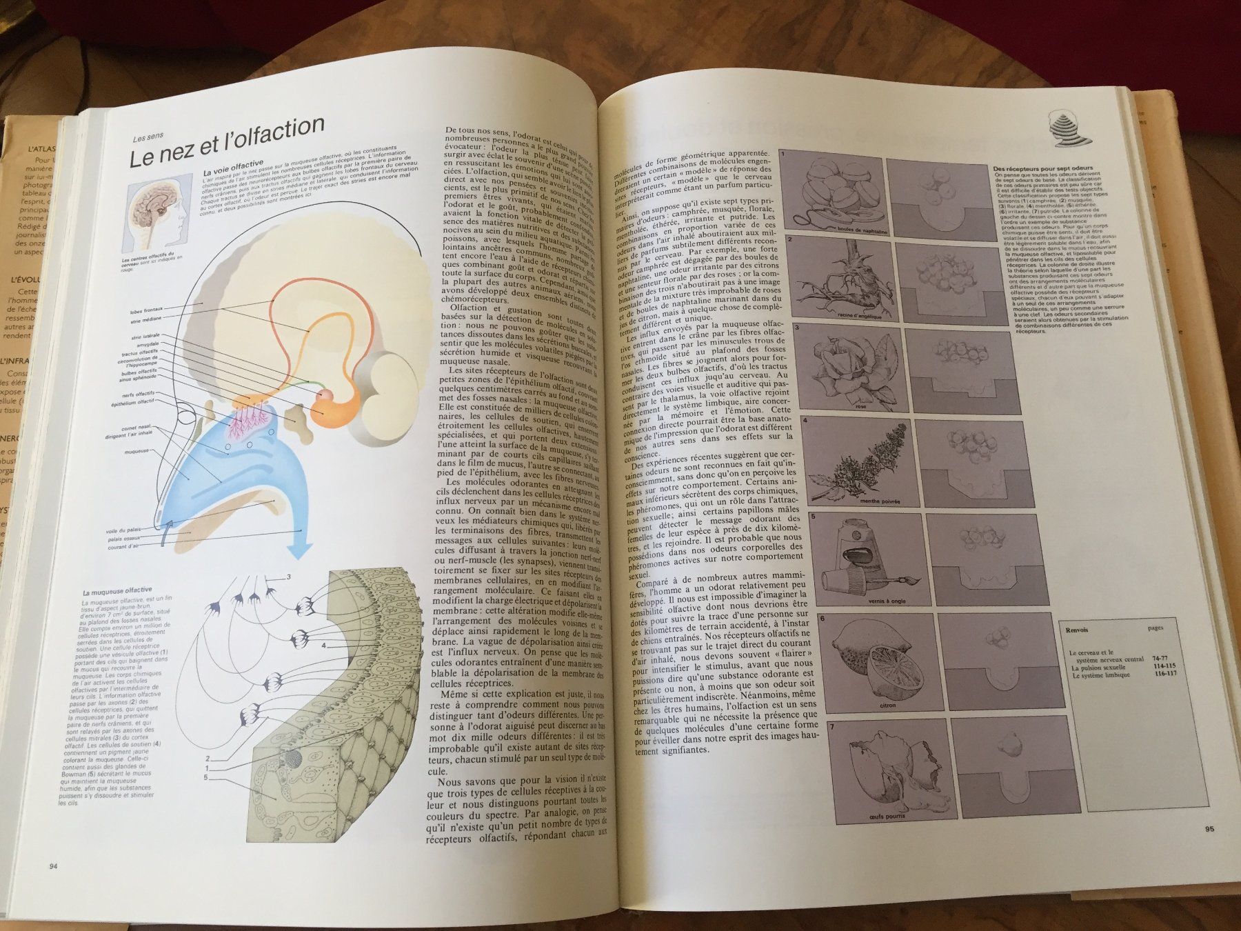 Libri: Atlas du corps humain  Edition 1991 – Usato da Genève venduto da Donnet2 3