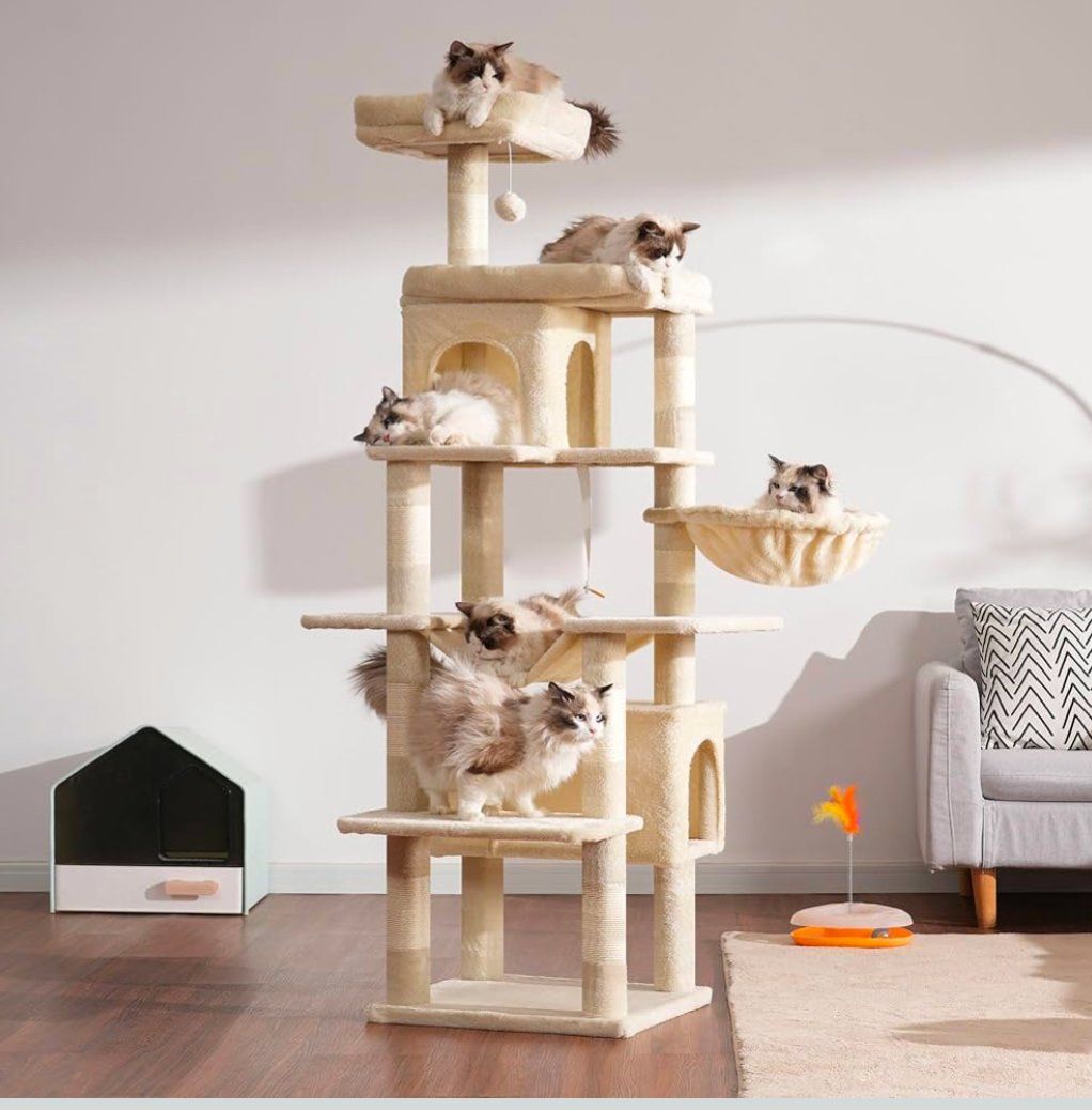 Tiragraffi: Katzenbaum 178 cm hellgrau,  rauchgrau oder beige – Nuovo e nell'imballaggio originale da Winterthur venduto da SwissPrime 4