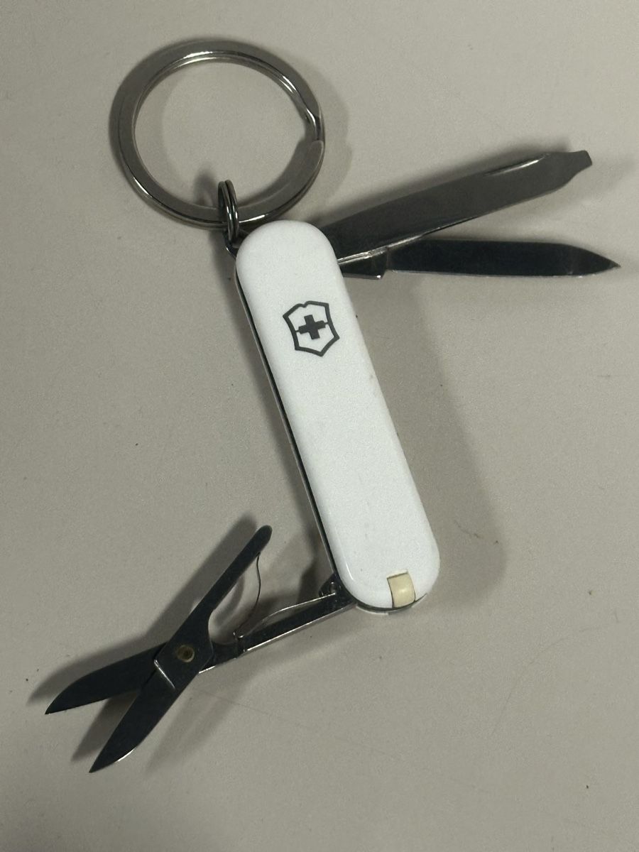 Victorinox Coltelli tascabile: Victorinox Sackmesser skoda – Usato da Deitingen venduto da Himhip 2