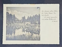 CL08 Carte Postale Suisse 1951 / Blausee