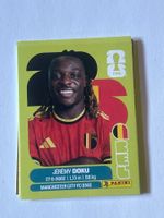 Panini WM 2026 Sticker - Doku BEL 16