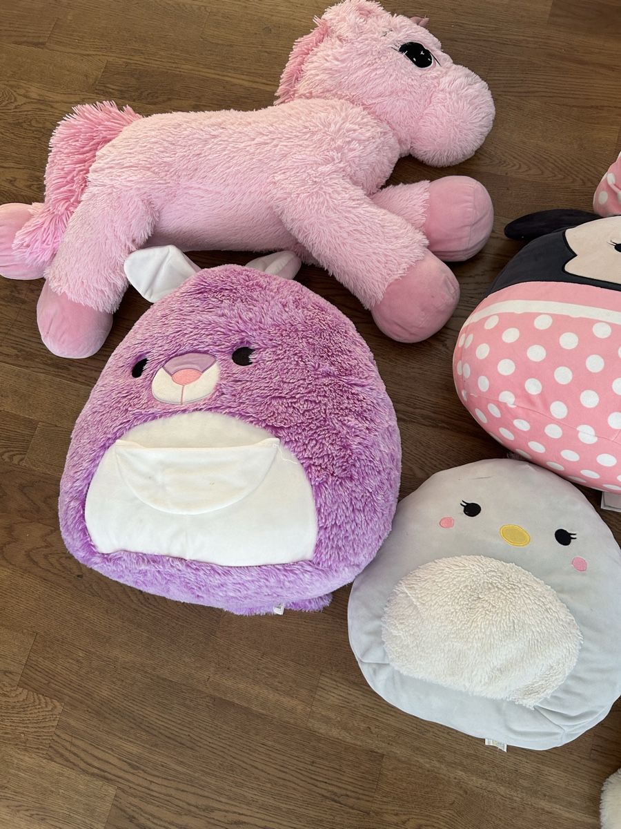 Squishmallows Spielzeuge: Squishmallows / Stofftiere – Gebraucht aus Zürich von adamriese81 3