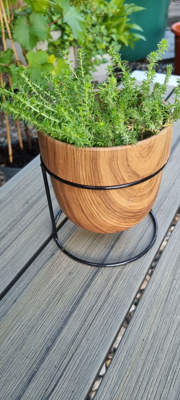 Plantes & graines: Blumentopf mit Holzmuster und Pflanze – D'occasion à egliswil par Maggy6