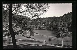 AK Lützel-Gr. Lucelle, Panorama, 1962