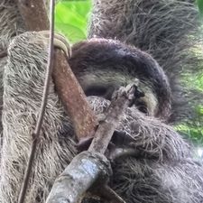 Profile image of weckemhe