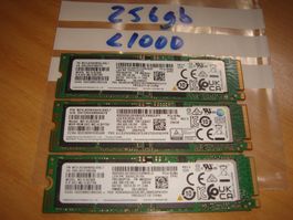1 stück 256gb m.2 nvme ssd. Getestet. Alle unter 1000 stunde