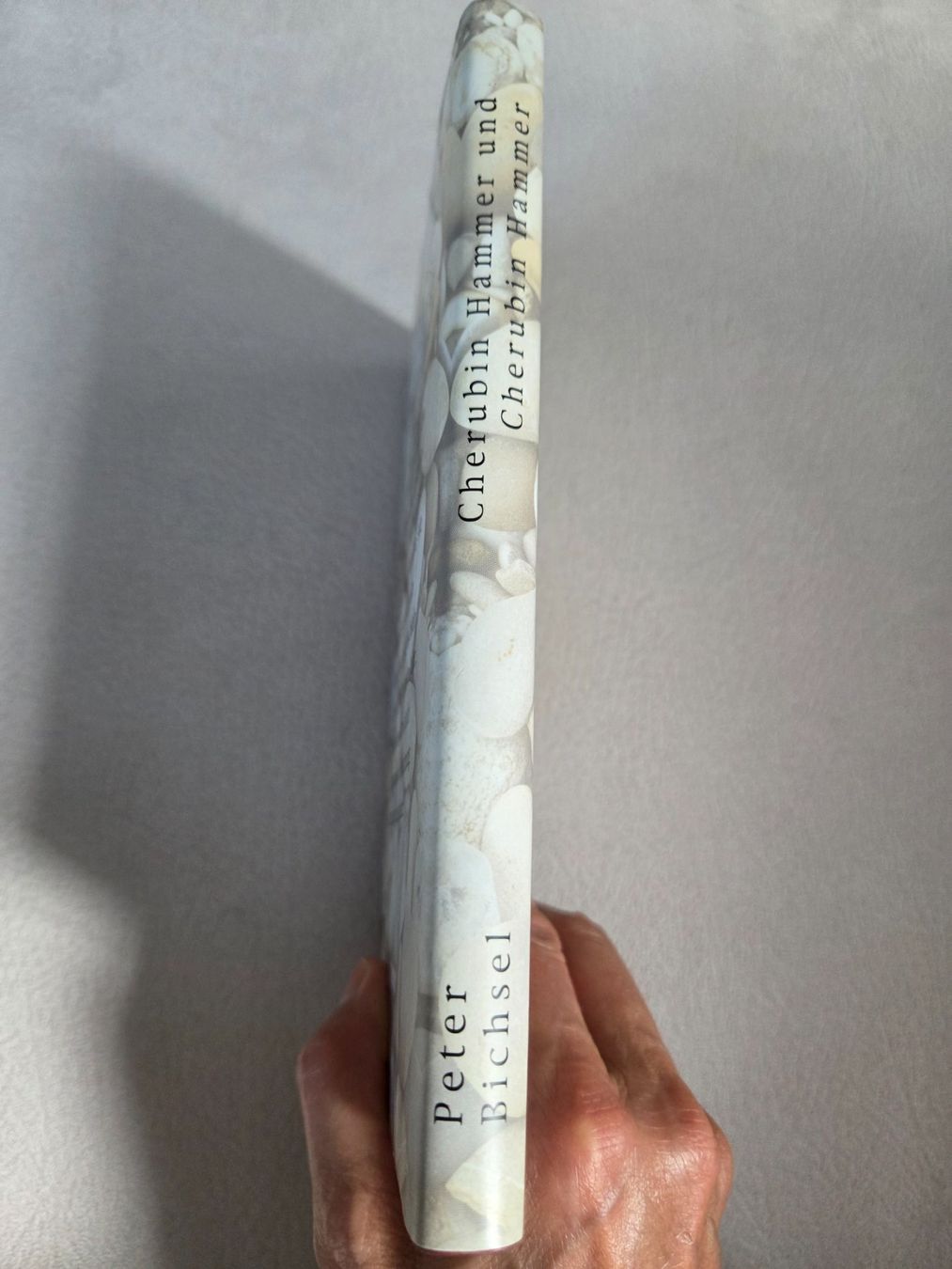 Libri: Peter Bichsel: Cherubin Hammer und Cherubin Hammer – Usato da Bergdietikon venduto da Tanne_10 2