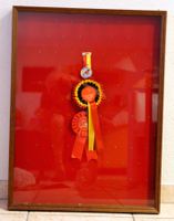 Wand Vitrine / Schaukasten für Medaillen oder Plaketten