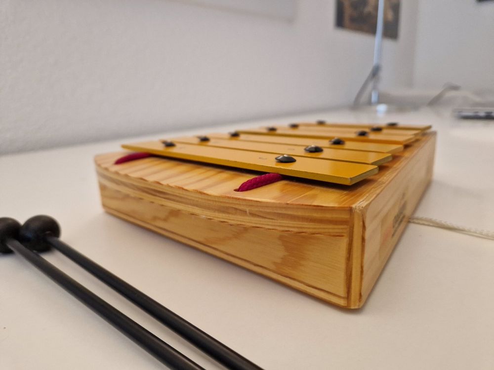 Xylophon Glockenspiel Kaufen auf Ricardo