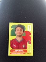 Panini POR 14