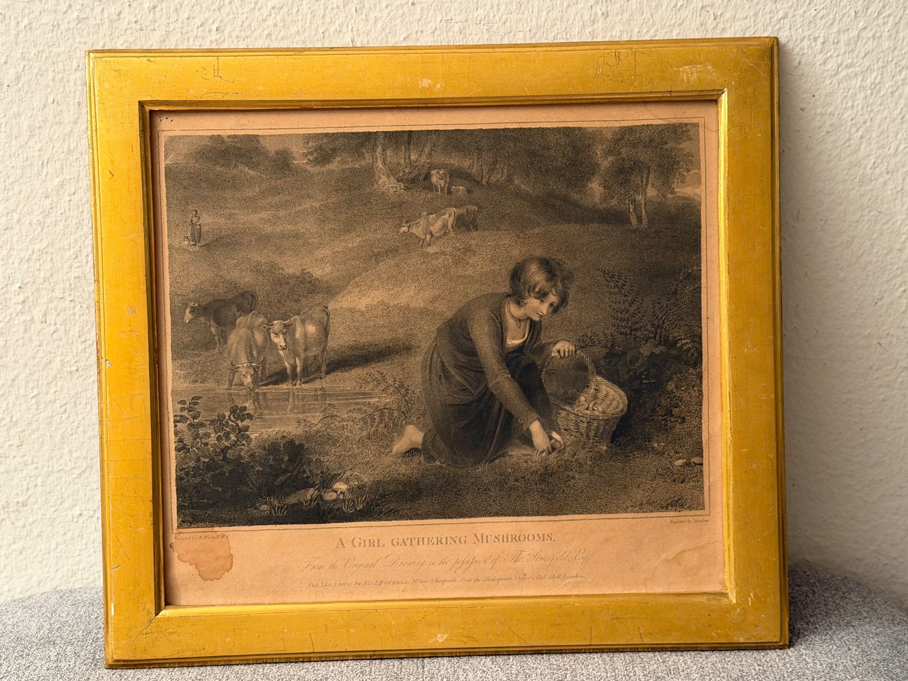 Dipinti: 1800 Gravur von Robert Mitchell Meadows British Museum – Usato da Basel venduto da PAUL_ART