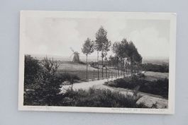 AK Niedersachsen - Pappelallee bei Schledehausen