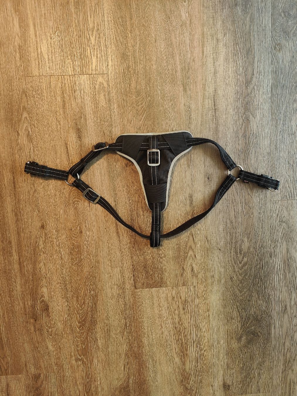 Trixie Leine & Halsband: Hundegeschirr Trixie Gr. M/L – Neu (gemäss Beschreibung) aus Kandergrund von Sam1818 2