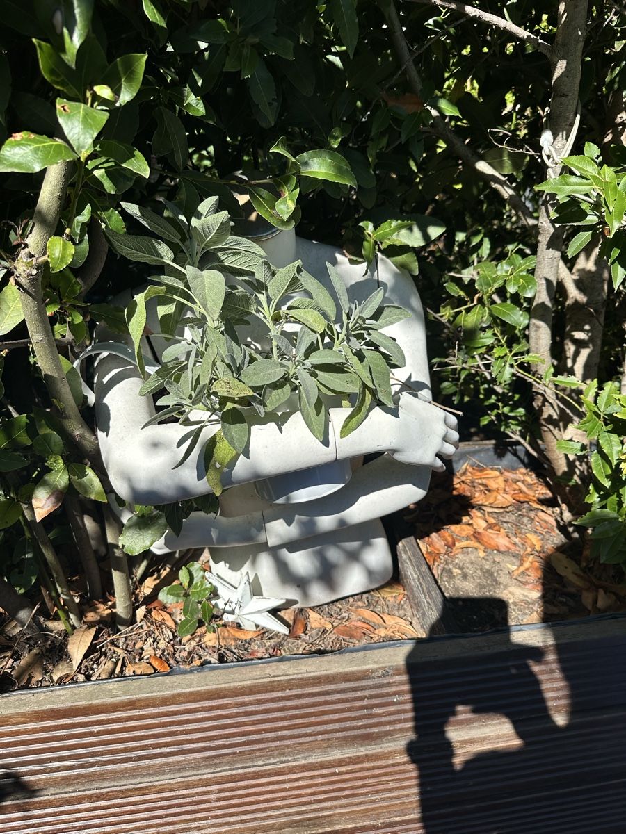 Altro in Decorazioni & Accessori: Schaufensterpuppe Gartenfigur – Usato da Muttenz venduto da anna123 2