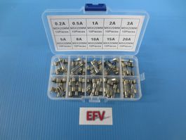 100 Stück Feinsicherungen 5 x 20mm 0.2 - 20A SET OVP