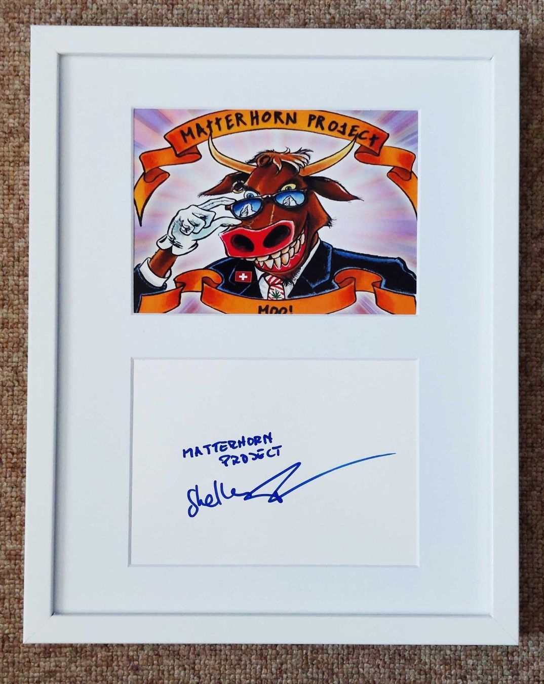 Autografi: Matterhorn Project Autogramm gerahmt rar – Usato da Kaisten venduto da Simpsons4