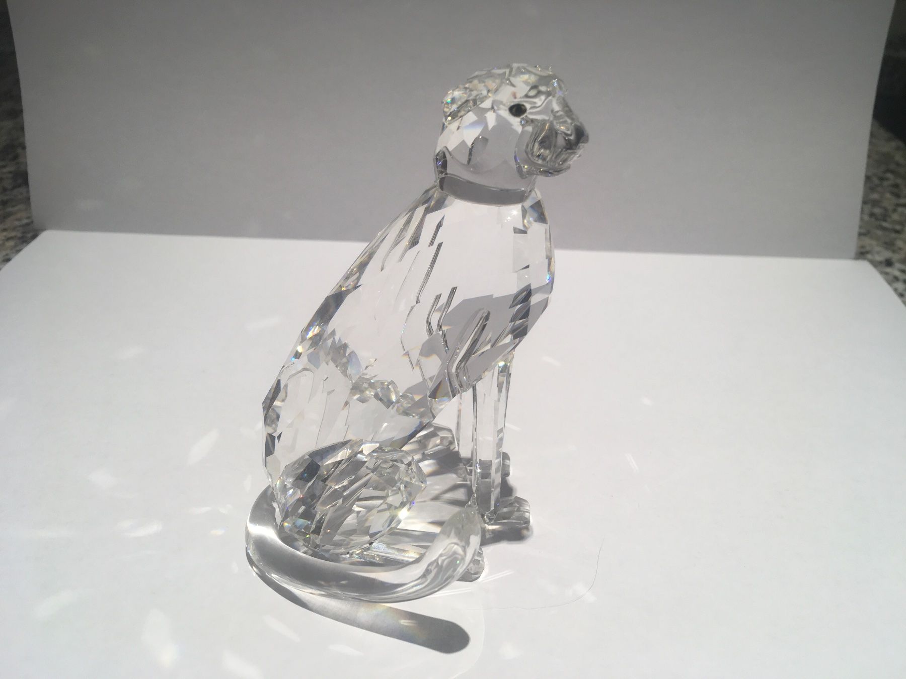 Swarovski Statuette: Swarovski Leopard – Nuovo (secondo la descrizione) da Oberglatt ZH venduto da Multimix 3
