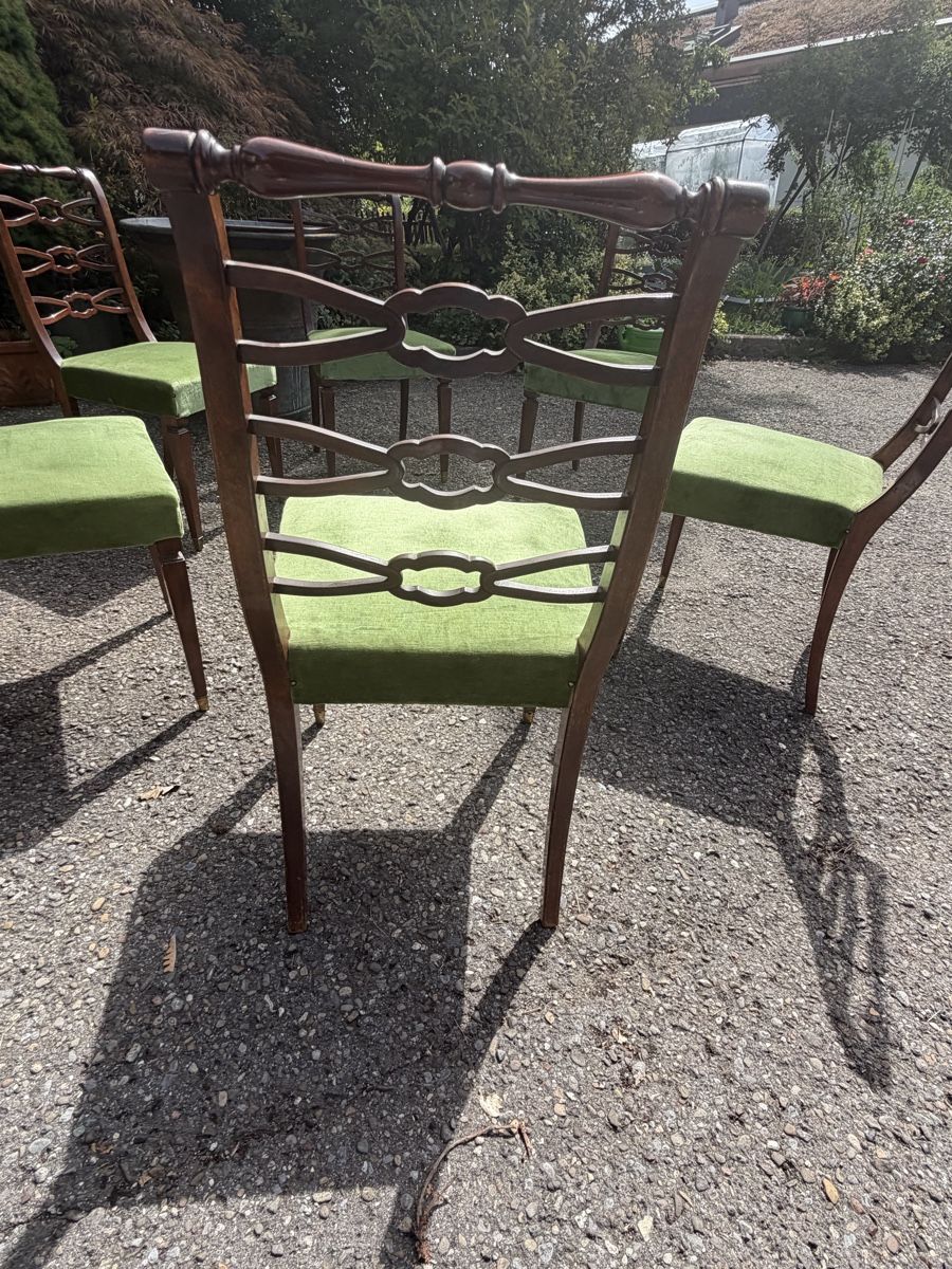 Sedie: 6 Stühle Chippendale Stil – Usato da Affoltern am Albis venduto da dcSwiss 1