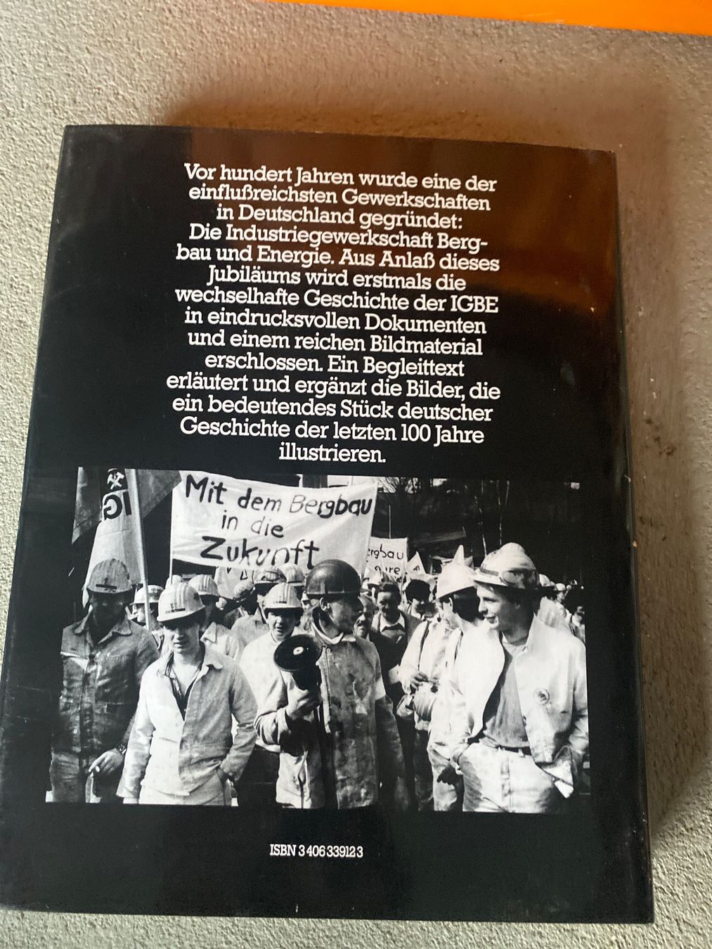 Libri: "Bildgeschichte der Bergarbeiterbewegung buch – Usato da Fürigen venduto da Barbi19 1