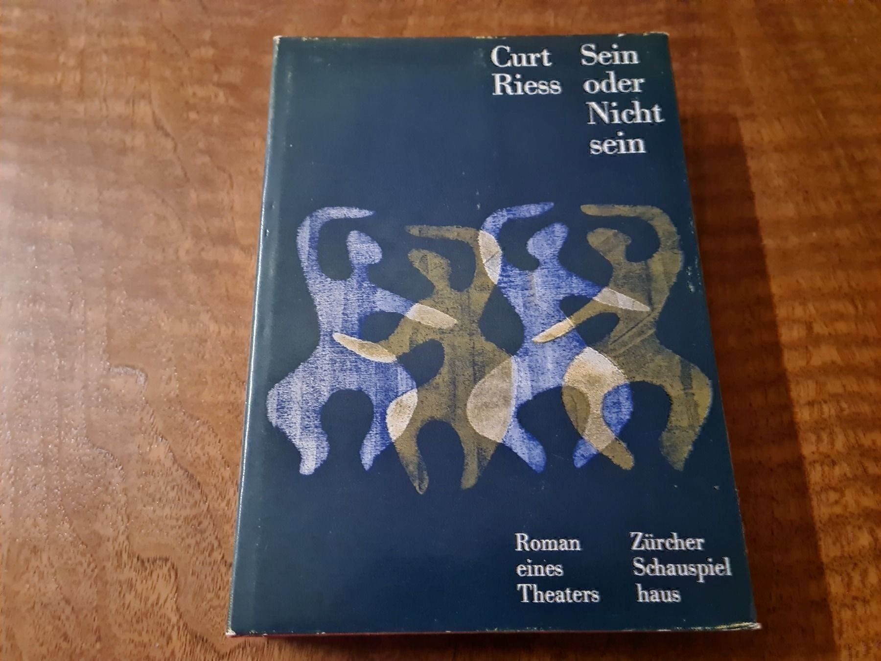Libri: Sein oder Nicht sein – Usato da Erstfeld venduto da Uhu1980