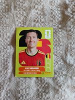 Panini Bild BEL 14