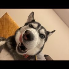 Profile image of tin_hd8p