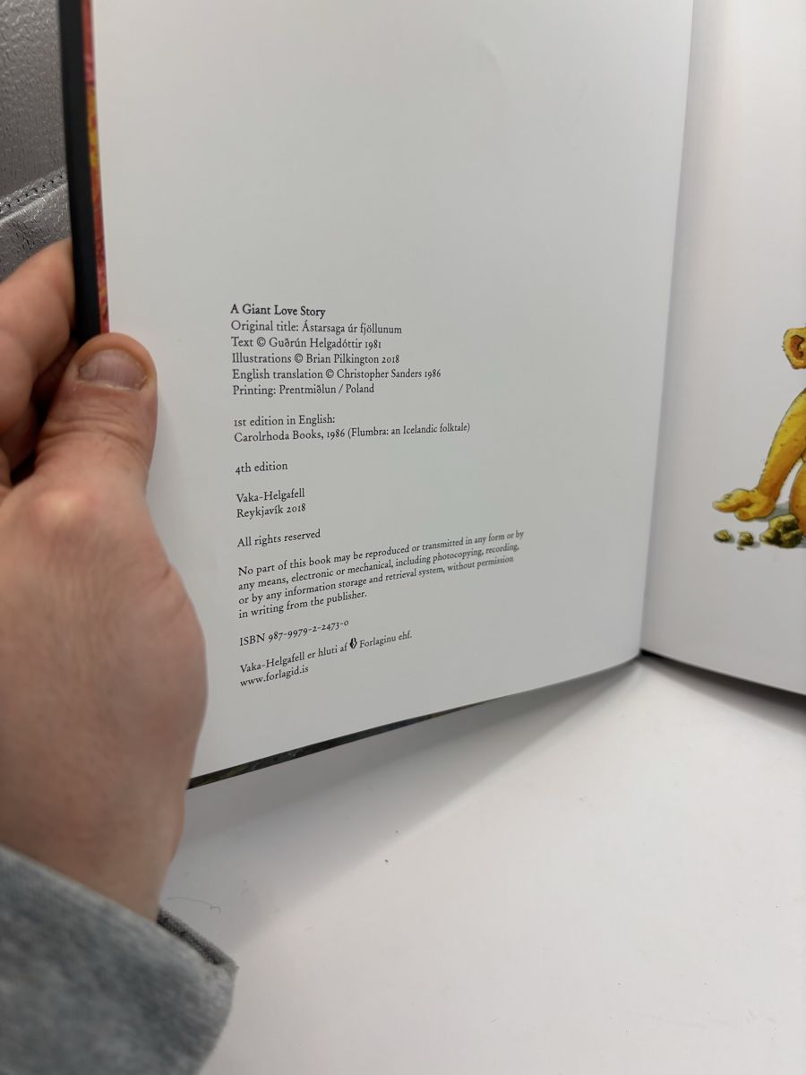 Bücher: Illustrated book "A Giant Love Story" – Gebraucht aus Genève von sho_67qj 2