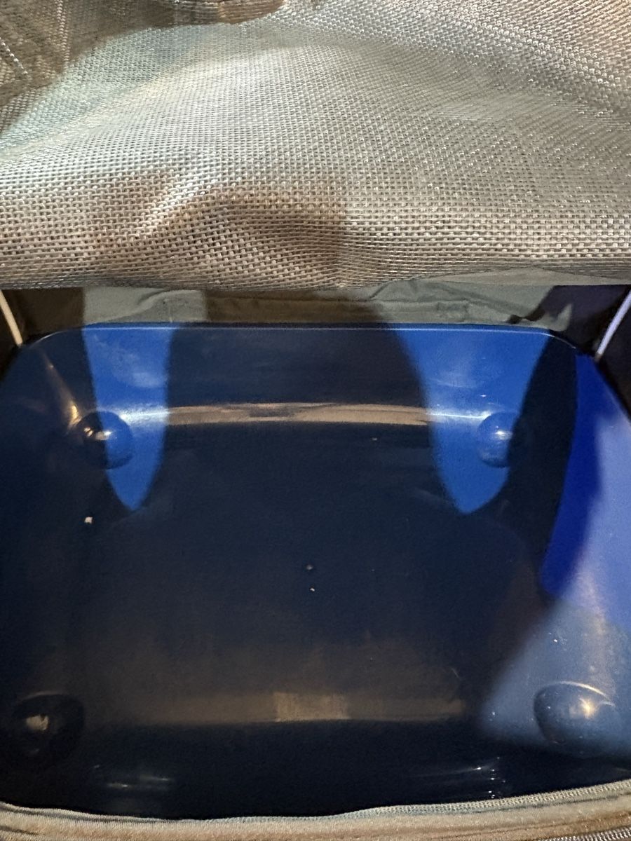 Harley-Davidson Topcase: Deemeed Sissybartasche – Usato da Burgdorf venduto da Hobby31 6