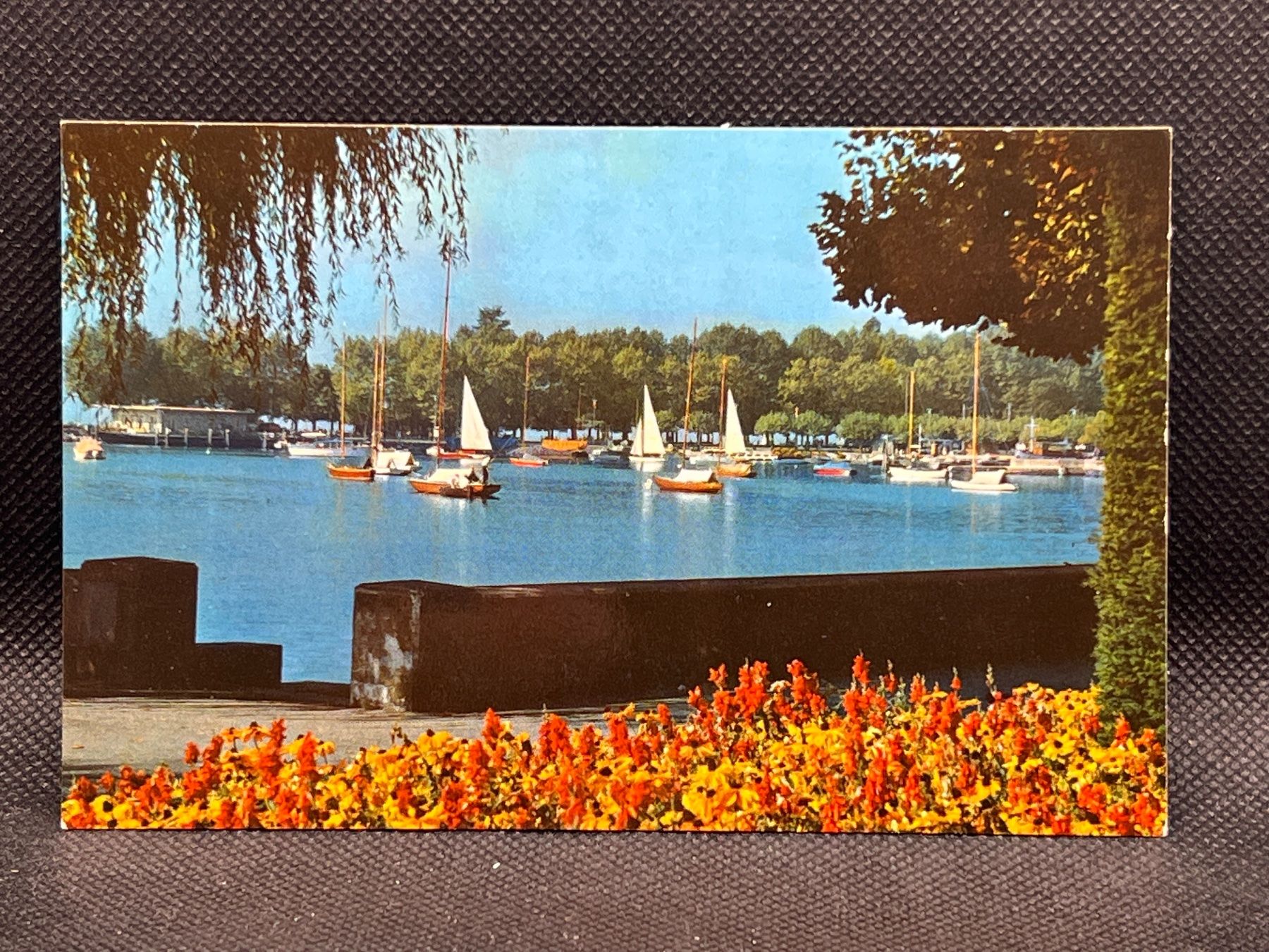 Cartoline postali: Lausanne-Ouchy – Usato da Widnau venduto da Brusi9
